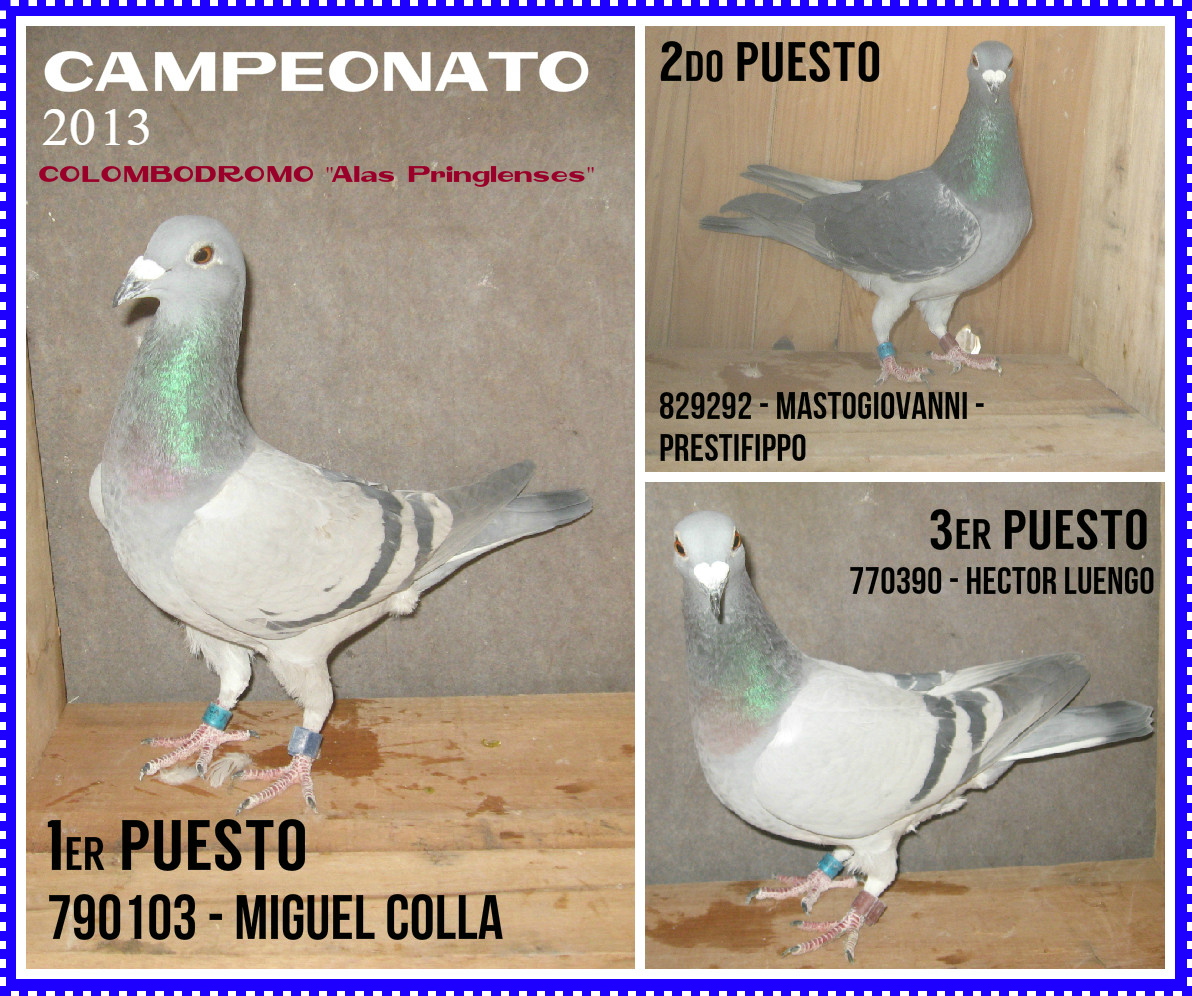 palomas13camp